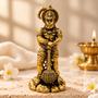 Shri Bahubali Hanuman Ji Murti – Gold Plated