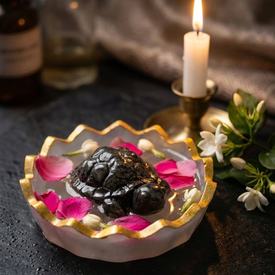 Energy Bowl and Pyrite Tortoise Combo