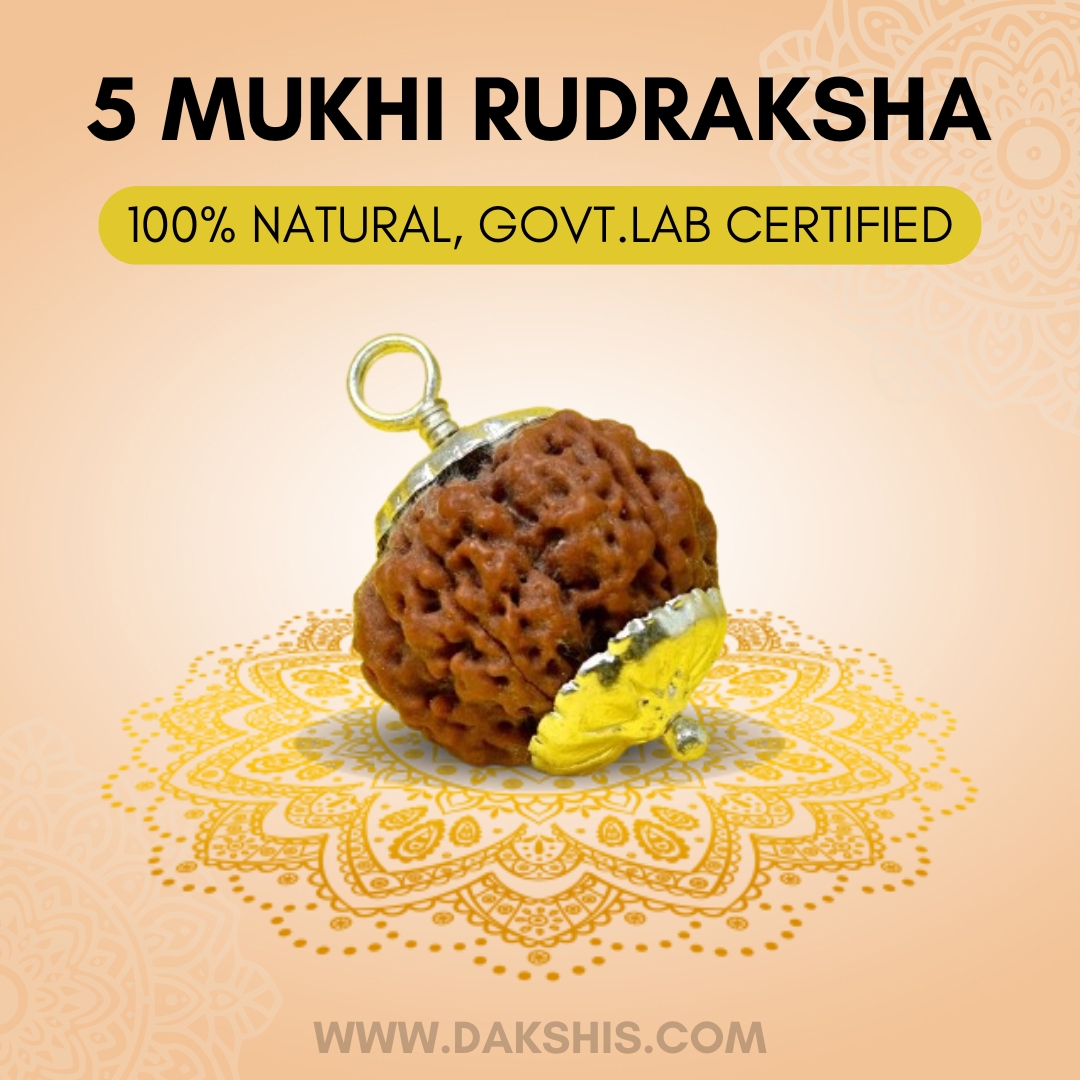 5 Mukhi Nepali Rudraksha - Paanch Mukhi