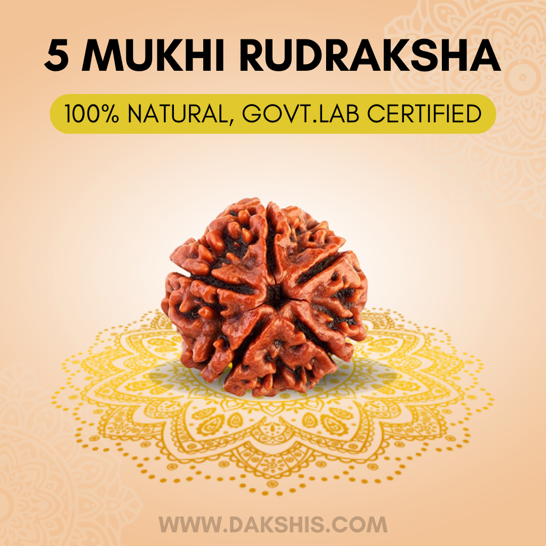 5 Mukhi Nepali Rudraksha - Paanch Mukhi